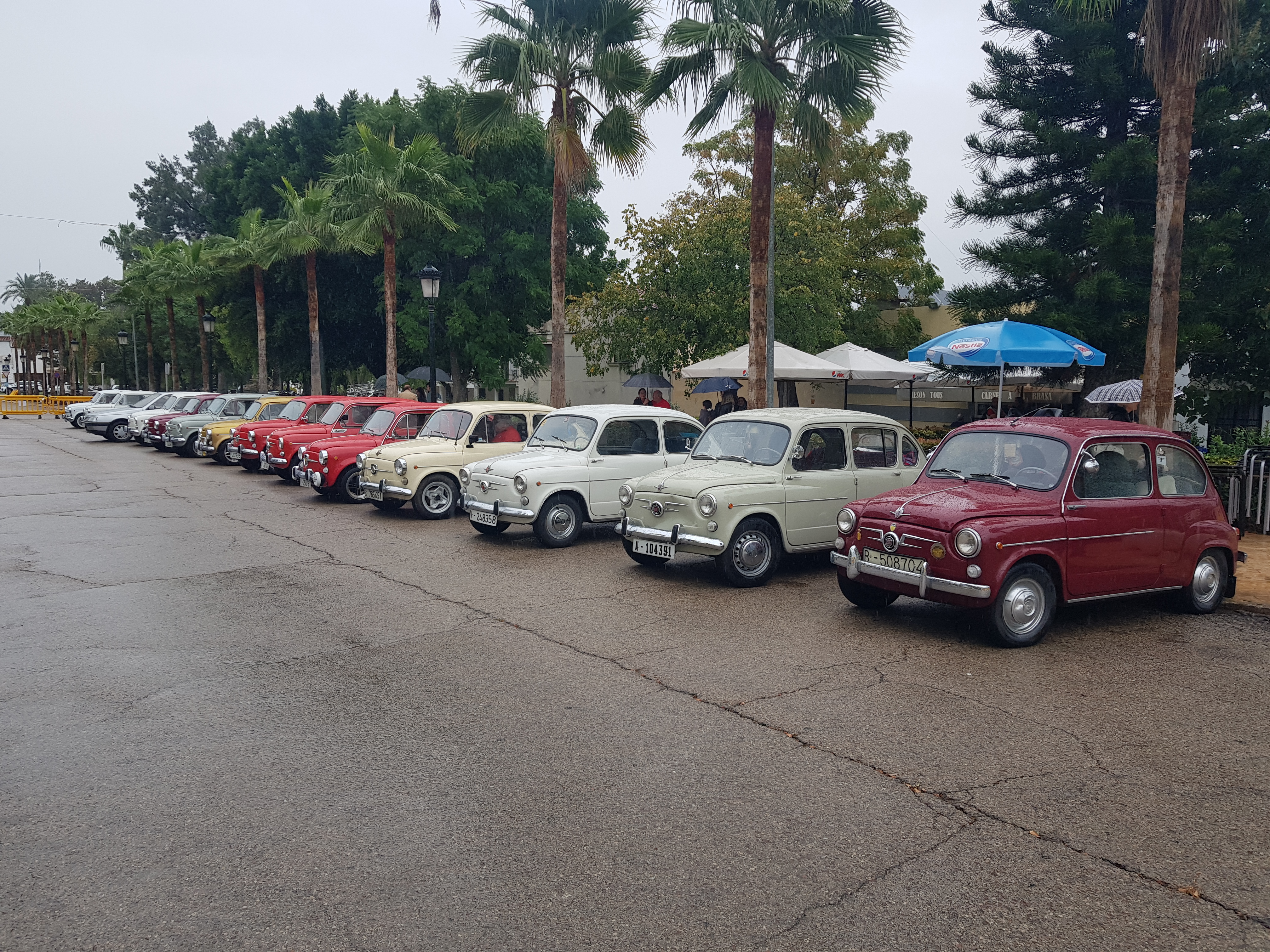 Excursión Octubre 2025